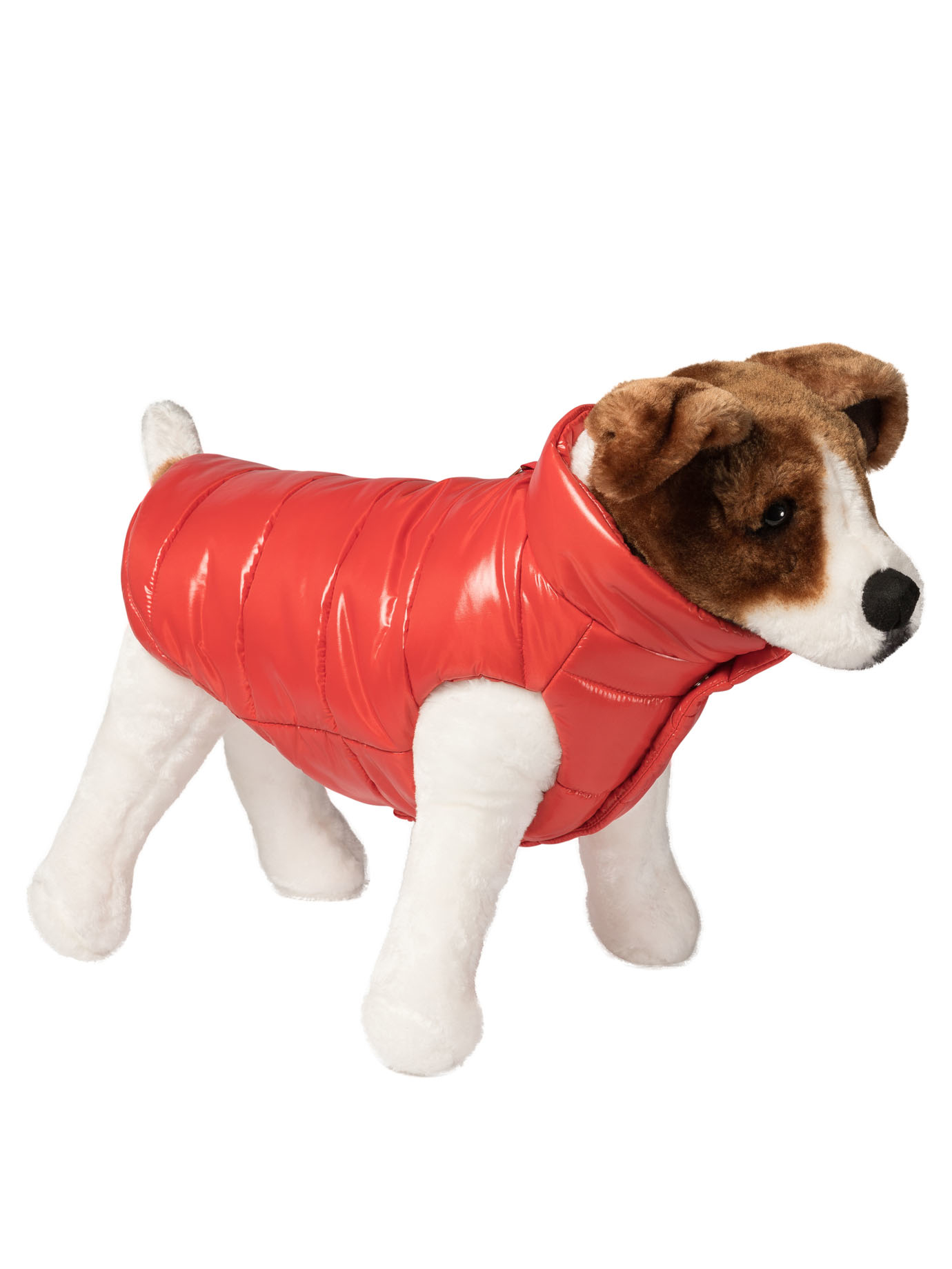 Dog 베스트